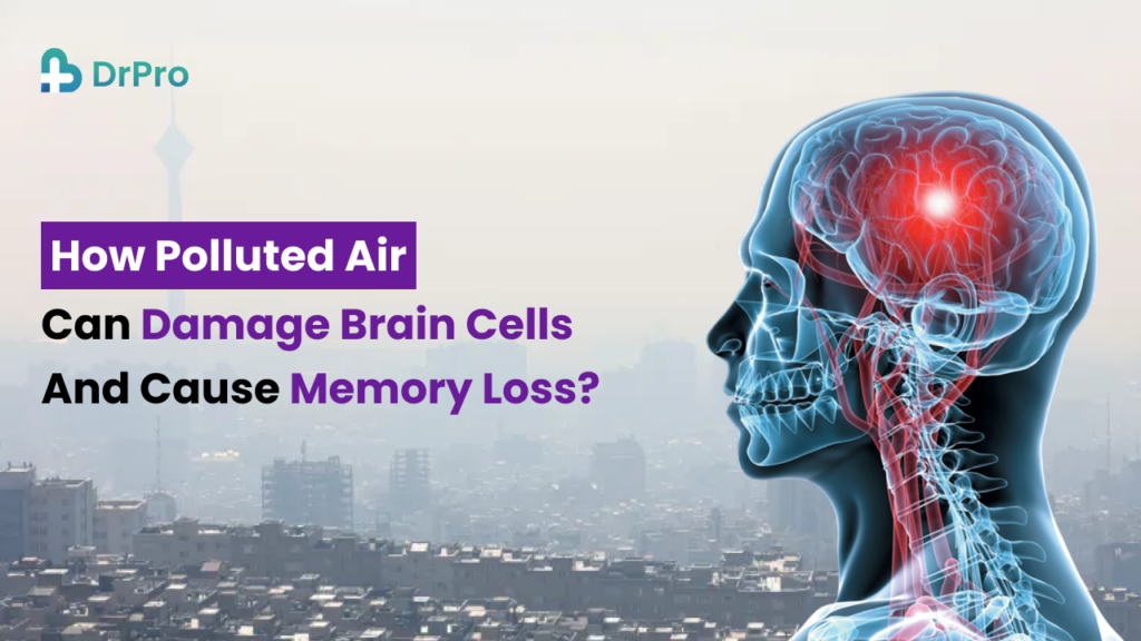 How air pollution can damage brain cells and cause memory loss? - DrPro